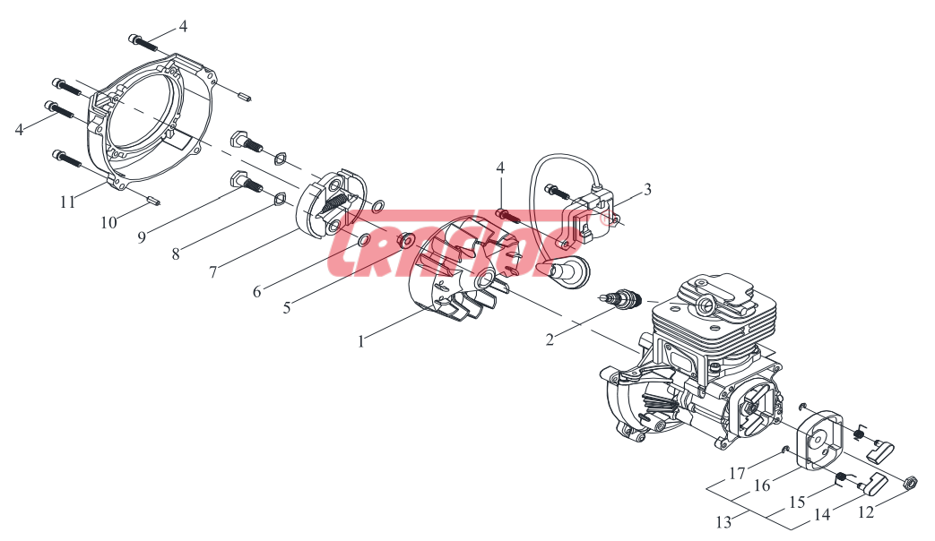 Ignition & Starter Pawl