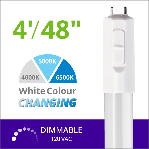 Toggled Dimmable LED 2pk Color Switching 4ft